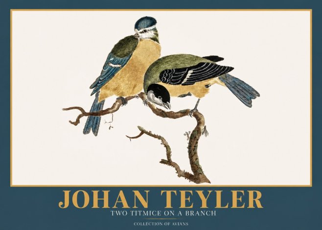 Johan Teyler Two Titmice on a Branch No2 - Affiche