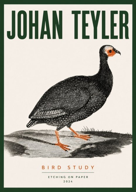 Johan Teyler Bird Study III No3 - Affiche