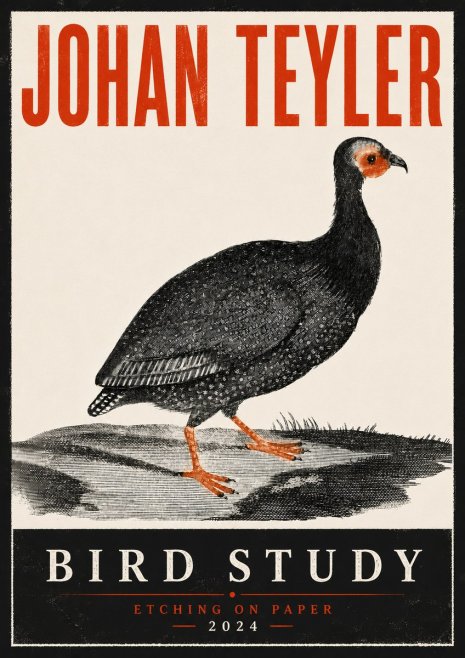 Johan Teyler Bird Study III No6 - Affiche