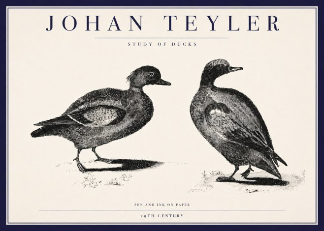 Johan Teyler Study of Ducks No3 - Affiche