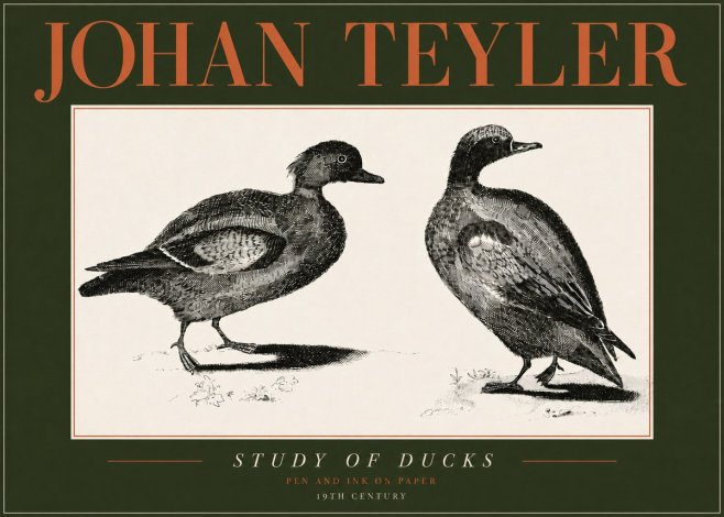 Johan Teyler Study of Ducks No4 - Affiche