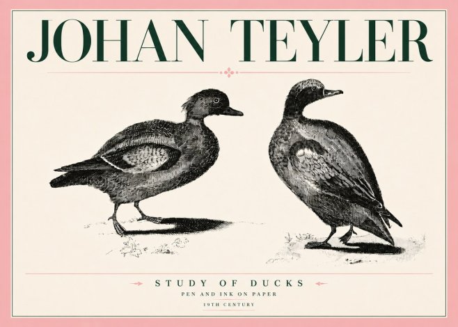 Johan Teyler Study of Ducks No5 - Affiche