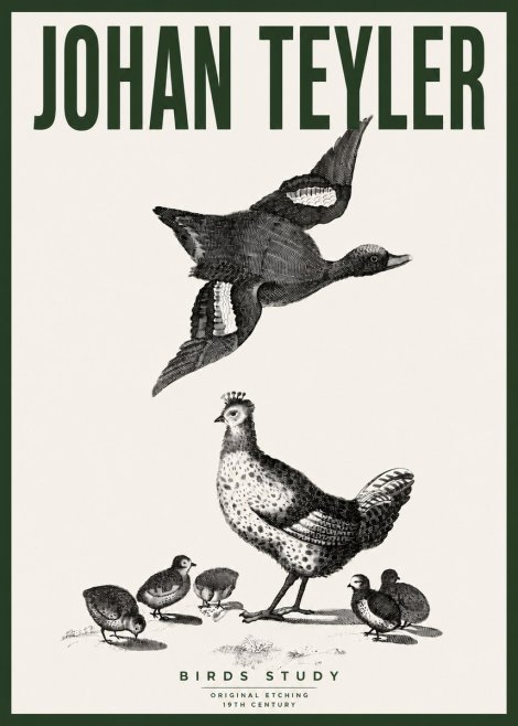 Johan Teyler Birds Study No4 - Affiche