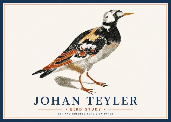 Johan Teyler Bird Study IV No6 - Affiche