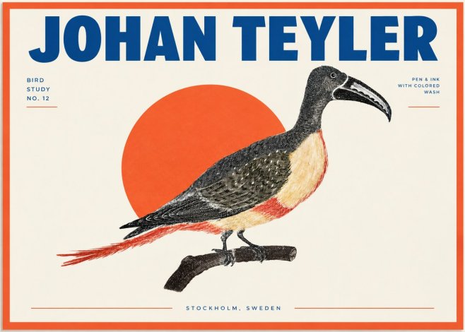Johan Teyler Bird Study No. 12 - Original Drawing No2 - Affiche