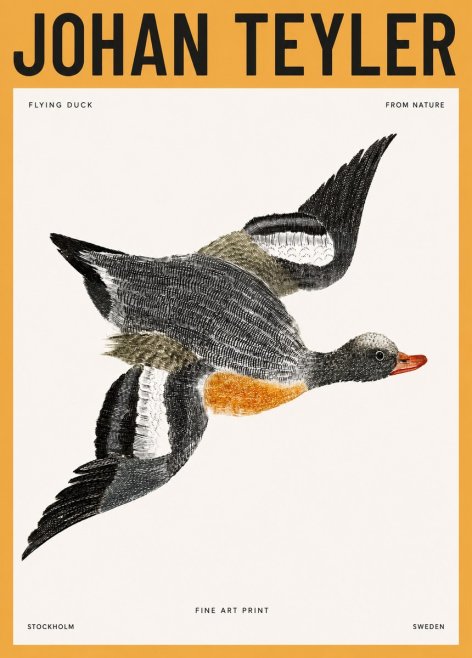 Johan Teyler Flying Duck No3 - Affiche