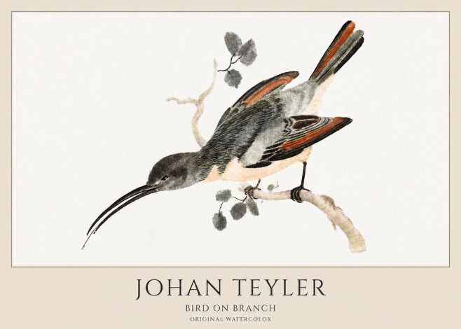 Johan Teyler Bird on Branch II No1 - Affiche