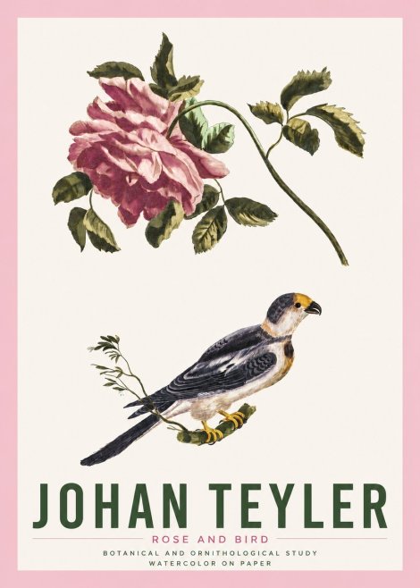 Johan Teyler Rose and Bird I No4 - Affiche