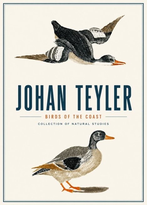 Johan Teyler Birds of the Coast No4 - Affiche