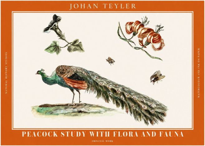 Johan Teyler Peacock Study with Flora and Fauna No2 - Affiche