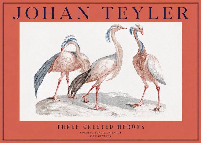 Johan Teyler Three Crested Herons No2 - Affiche