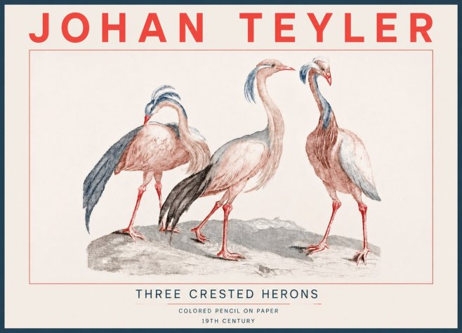 Johan Teyler Three Crested Herons No4 - Affiche