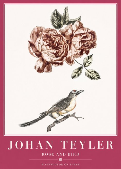 Johan Teyler Rose and Bird II No2 - Affiche