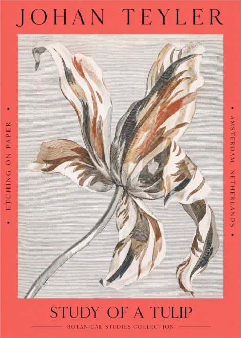 Johan Teyler Study of a Tulip No2 - Affiche