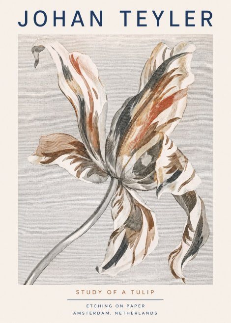 Johan Teyler Study of a Tulip No3 - Affiche