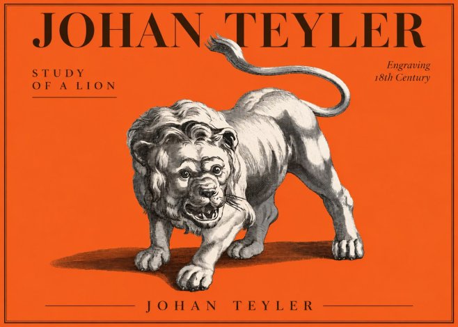 Johan Teyler Study of a Lion No3 - Affiche