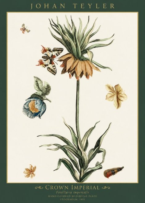 Johan Teyler Crown Imperial No1 - Affiche