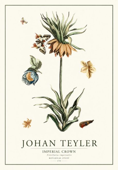 Johan Teyler Crown Imperial No2 - Affiche