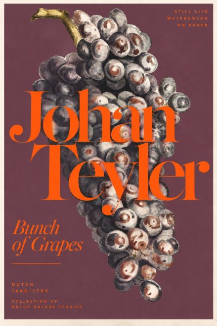 Johan Teyler Bunch of Grapes No3 - Affiche