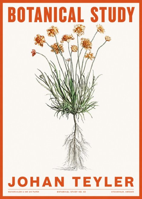 Johan Teyler Botanical Study No. 01 No2 - Affiche