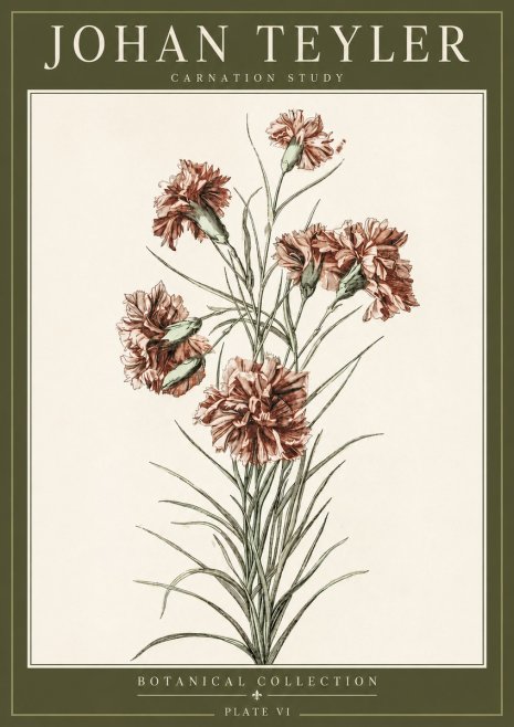 Johan Teyler Carnation Study No3 - Affiche