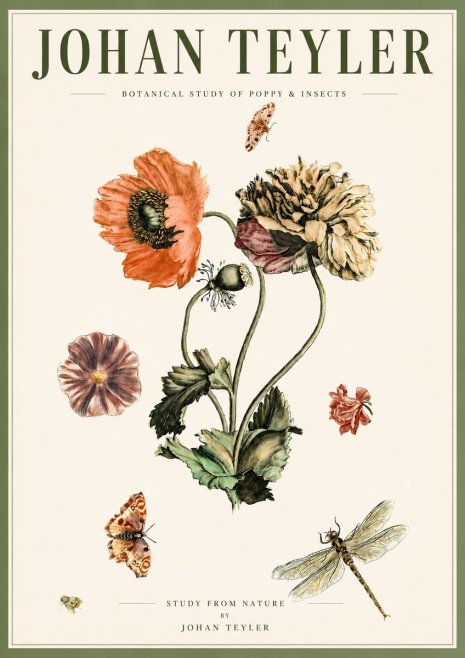 Johan Teyler Botanical Study of Poppy & Insects No5 - Affiche