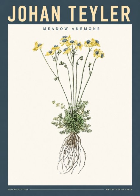 Johan Teyler Meadow Anemone No2 - Affiche