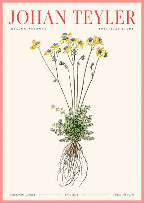 Johan Teyler Meadow Anemone No3 - Affiche