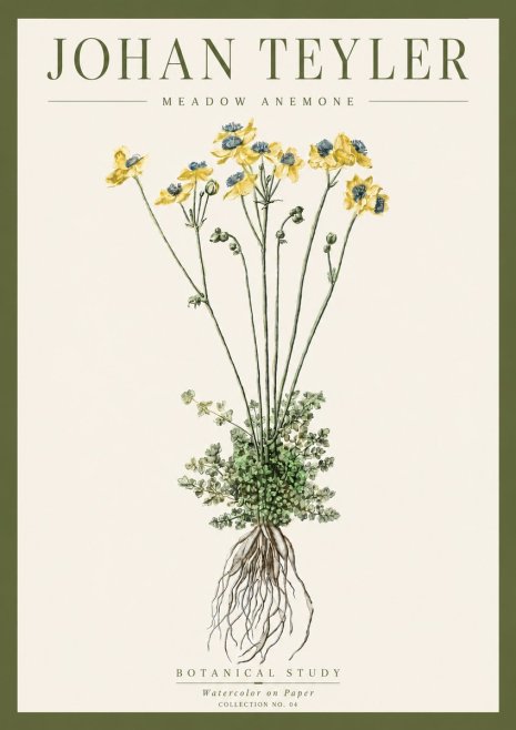 Johan Teyler Meadow Anemone No4 - Affiche