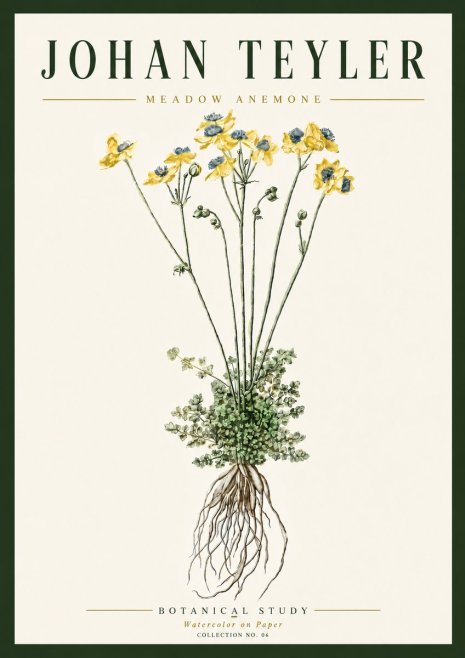 Johan Teyler Meadow Anemone No6 - Affiche