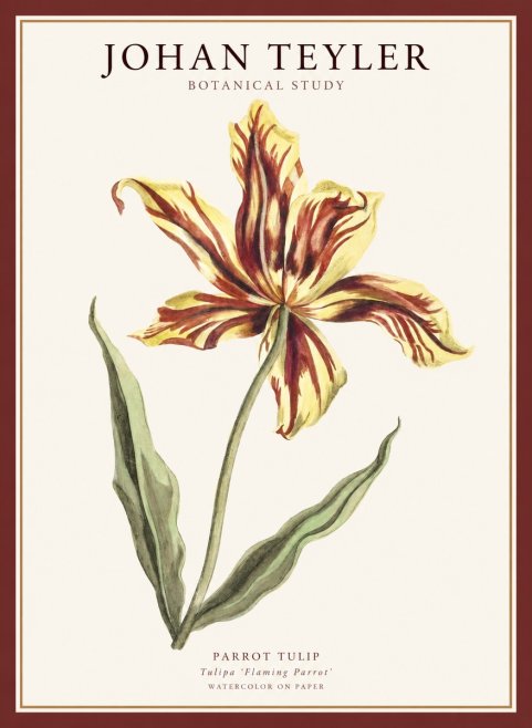 Johan Teyler Floral Study I No5 - Affiche