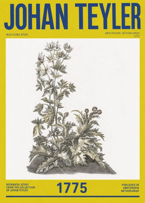 Johan Teyler Wild Flora Study No2 - Affiche