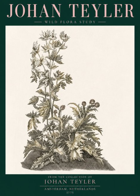 Johan Teyler Wild Flora Study No3 - Affiche