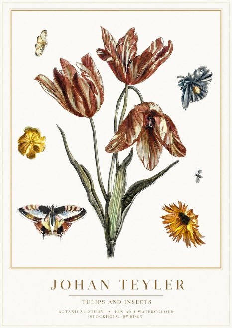 Johan Teyler Tulips and Insects No1 - Affiche