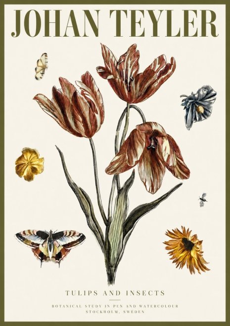Johan Teyler Tulips and Insects No3 - Affiche