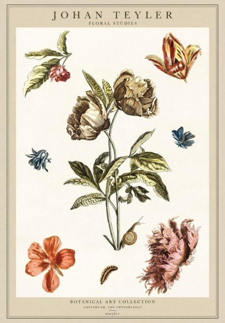 Johan Teyler Floral Studies No1 - Affiche