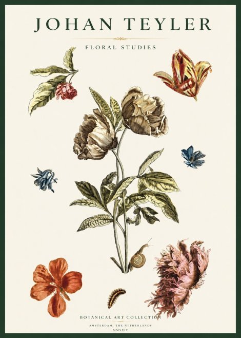 Johan Teyler Floral Studies No2 - Affiche