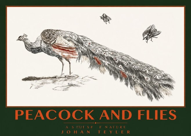 Johan Teyler Peacock and Flies - Animal Study No2 - Affiche