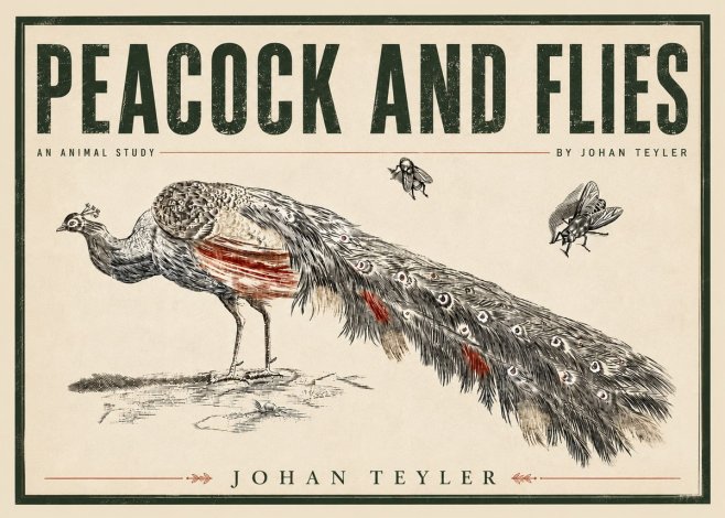 Johan Teyler Peacock and Flies - Animal Study No5 - Affiche