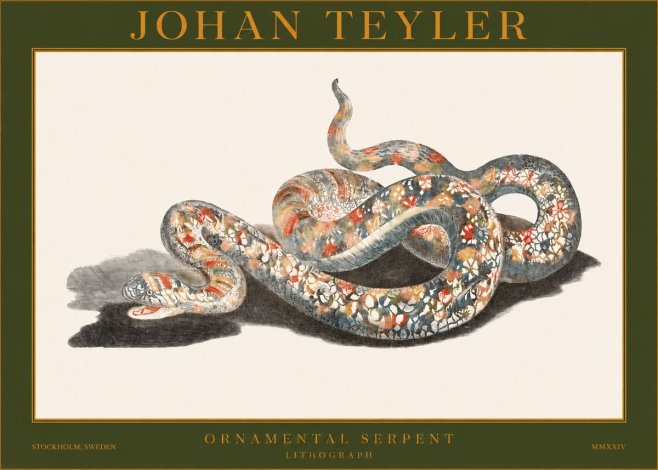 Johan Teyler Ornamental Serpent No1 - Affiche