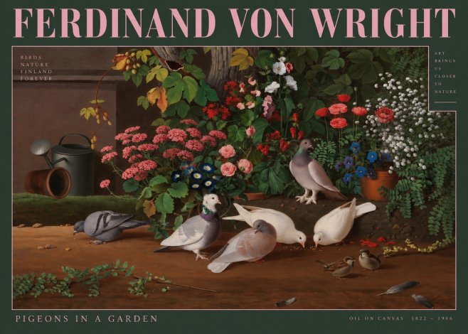 Ferdinand von Wright Pigeons and Flowers No3 - Affiche