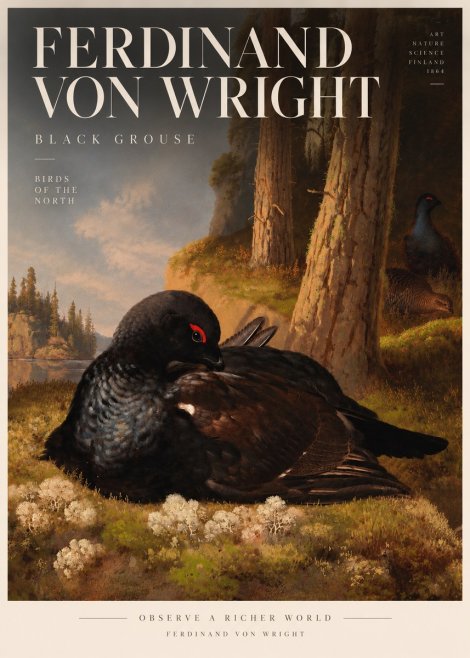 Ferdinand von Wright The Black Grouse No5 - Affiche