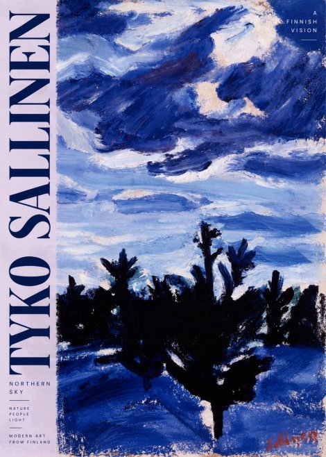 Tyko Sallinen Northern Sky No6 - Affiche