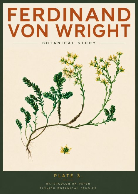 Ferdinand von Wright Botanical Study No2 - Affiche