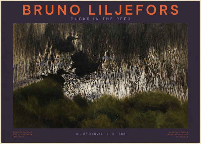 Bruno Liljefors Ducks in the Reed No2 - Affiche