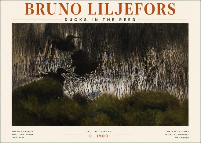 Bruno Liljefors Ducks in the Reed No5 - Affiche