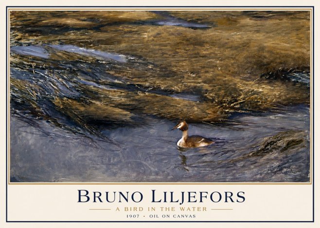 Bruno Liljefors A Bird in the Water No3 - Affiche