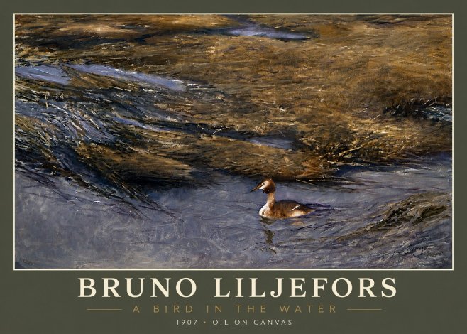 Bruno Liljefors A Bird in the Water No4 - Affiche