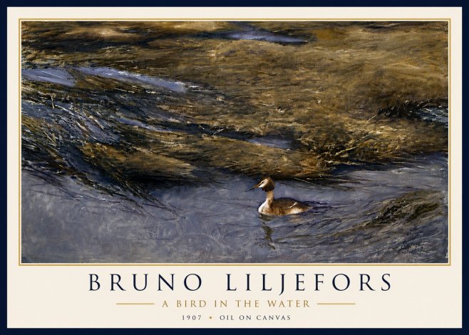 Bruno Liljefors A Bird in the Water No6 - Affiche
