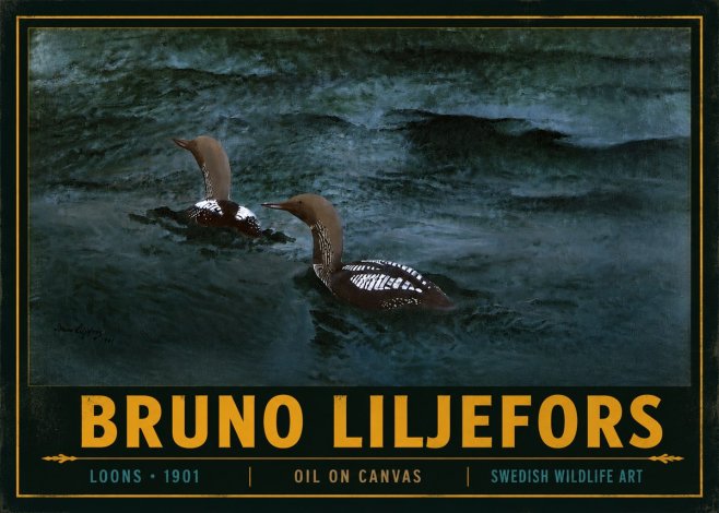 Bruno Liljefors Loons · 1901 No4 - Affiche